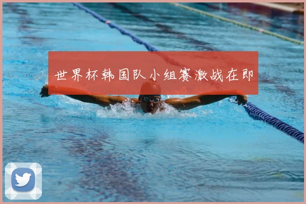 世界杯韩国队小组赛激战在即