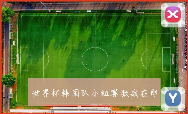 世界杯韩国队小组赛激战在即