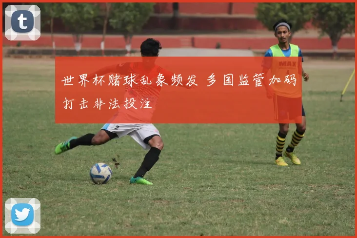 世界杯赌球乱象频发 多国监管加码打击非法投注
