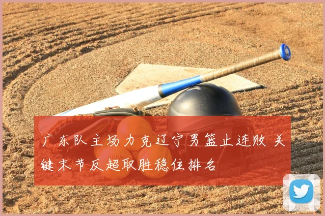 广东队主场力克辽宁男篮止连败 关键末节反超取胜稳住排名