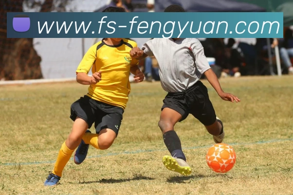 环球app网址平台生态图